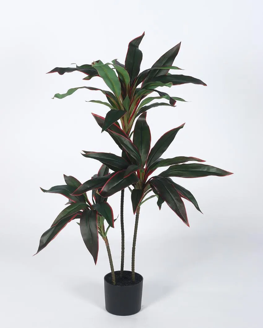 3 Head Dracaena Real Touch Artificial Plant with Black Pot | 4 ft