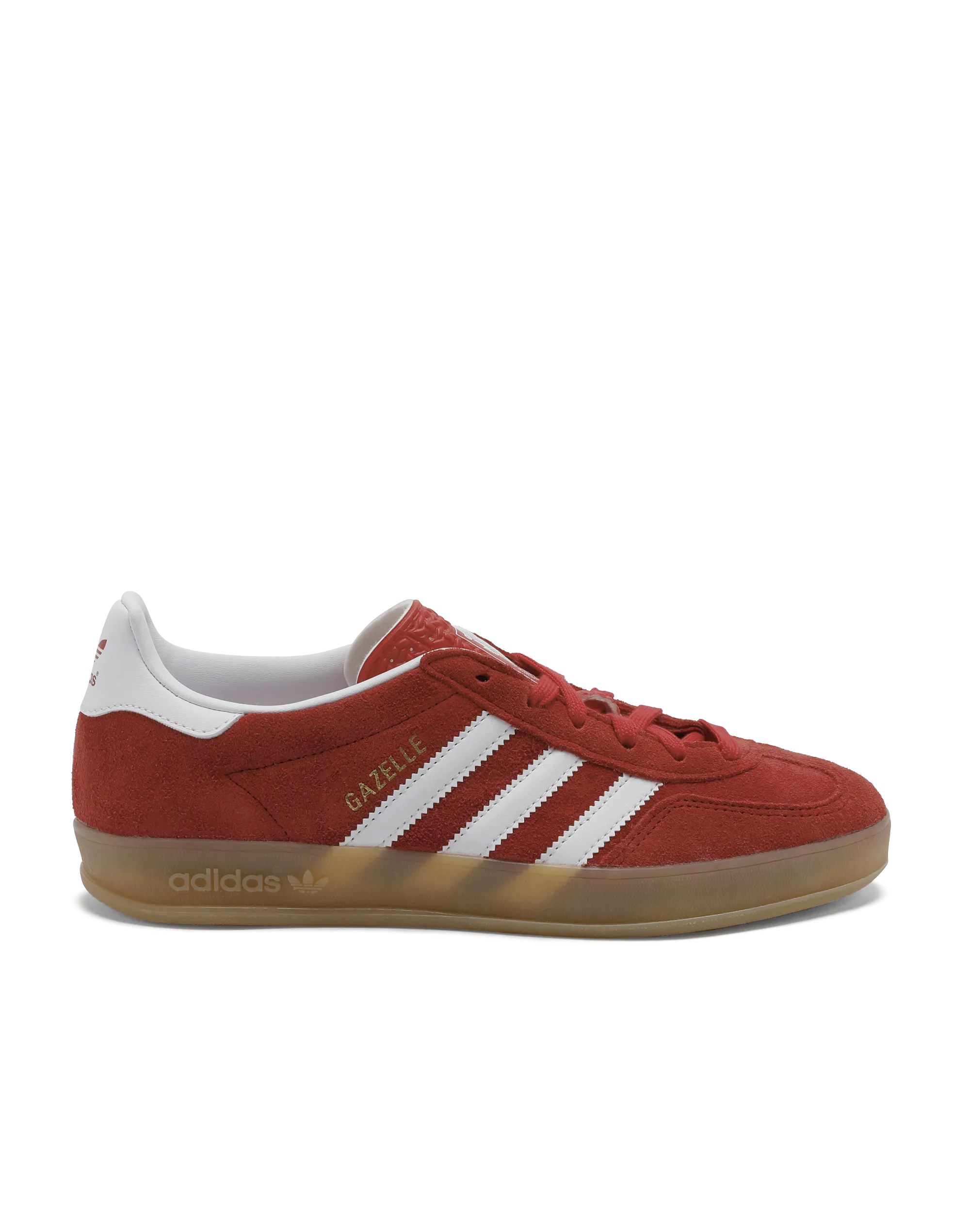 GAZELLE INDOOR